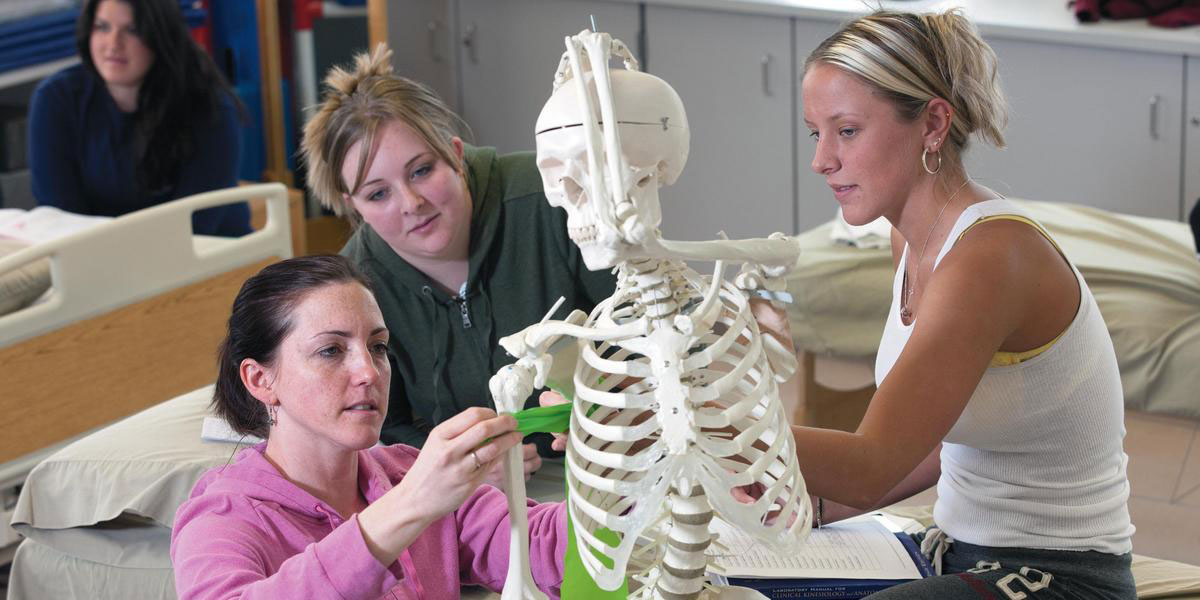 Kinesiology Information Session - image