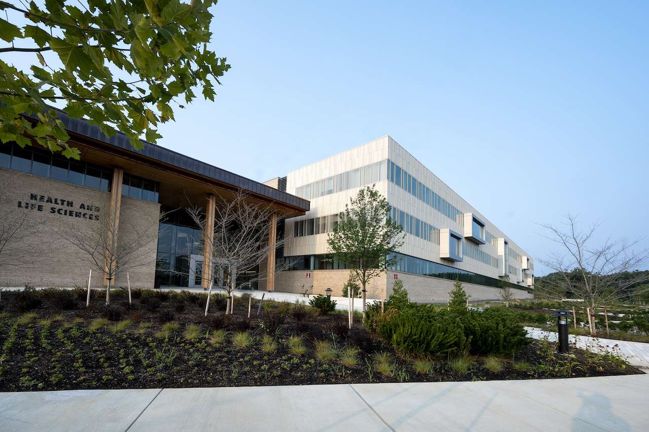  Inclusion, Diversity, Equity, Access and Leadership (IDEAL) 