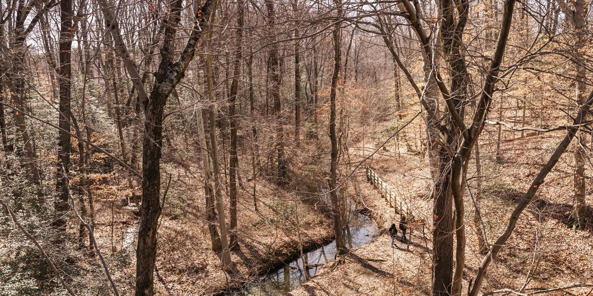 Students walking next to creek on outdoor trail.