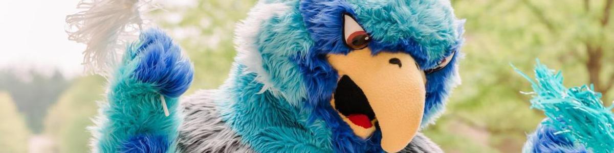 Image of Swoop with students in the background